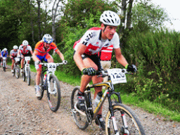 2e1ax_greenie_entry_2-gusti_1